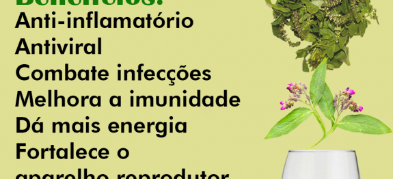 292261474_2231645016994002_4045045185556197561_n