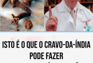 Isto é o que o cravo-da-índia pode fazer por sua saúde e você ainda não sabe.
