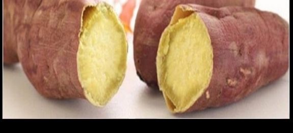 A batata-doce é a chave para o fim da gastrite, refluxo, azia, e até mesmo úlceras.