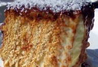 ESSE BOLO NÃO VAI AO FORNO, É UM BOLO DE GELADEIRA, APENAS GELADEIRA !!! O BOLO MAIS GOSTOSO QUE EU JÁ COMI!
