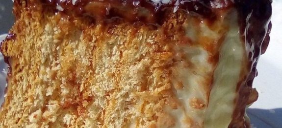 ESSE BOLO NÃO VAI AO FORNO, É UM BOLO DE GELADEIRA, APENAS GELADEIRA !!! O BOLO MAIS GOSTOSO QUE EU JÁ COMI!