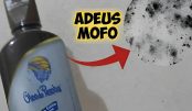Misturinha caseira para eliminar o mofo das paredes, com produtos que você tem em casa