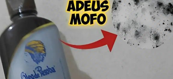 Misturinha caseira para eliminar o mofo das paredes, com produtos que você tem em casa