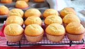 muffins-780×445
