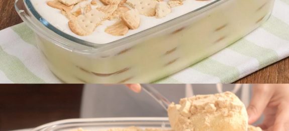 326533236_610468774364969_8385272311765432183_n