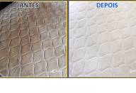 Walt-Higienizacoes-Higienizacao-de-Estofados-Curitiba-Campo-Largo-Regiao-41-2