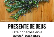 334436393_1892757117771708_1556498011661628209_n