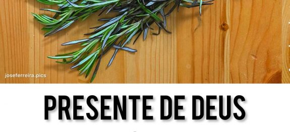 334436393_1892757117771708_1556498011661628209_n