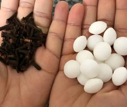 Misturei 2 produtos que tinha no armário e acabei com baratas e formigas da minha casa
