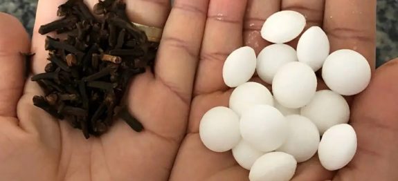 Misturei 2 produtos que tinha no armário e acabei com baratas e formigas da minha casa