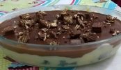 Pave-de-bis-facil-e-delicioso-a-sobremesa-que-faco-todos-os-finais-de-semana