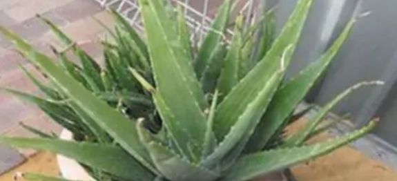 Screenshot at Apr 15 18-12-33