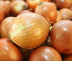 cebola-1-orig-1