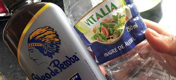 limpador-caseiro-para-chao-22-02-1024×683-1