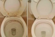 Como-limpar-vaso-sanitario-com-2-ingredientes-que-realmente-funcionam