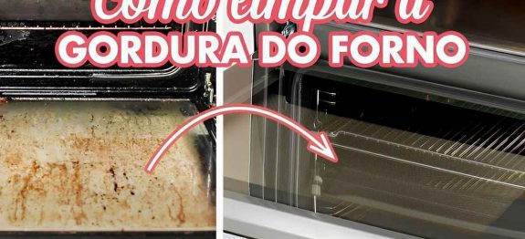 meu-forno-engordurado-ficou-novinho-depois-que-fiz-isso-22-07111