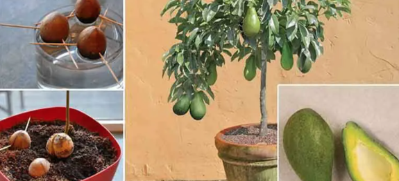 Screenshot at Aug 18 15-59-59