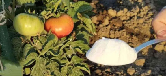 Screenshot at Aug 20 19-15-07