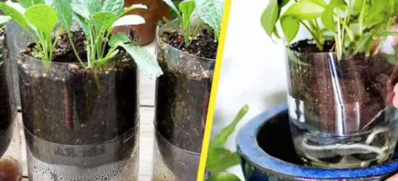 Screenshot at Aug 21 20-11-24