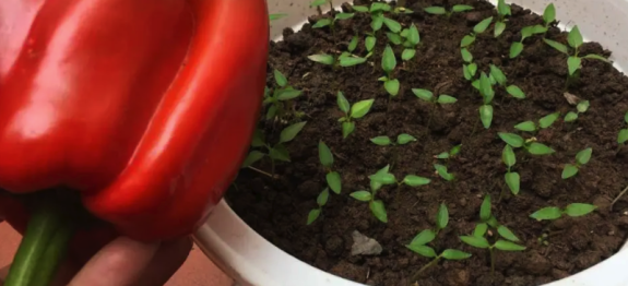 Screenshot at Aug 23 13-09-39