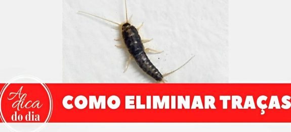 como-acabar-com-as-tracas-20-0911.jpg