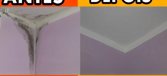 como-remover-mofo-da-parede-11-0911.jpg