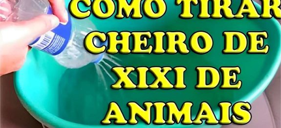 como-tirar-cheiro-de-urina-de-animais-08-0911.jpg