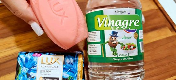 limpador-multiuso-caseiro-27-0911.jpg