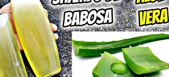 shampoo-de-babosa-caseiro-21-0911.jpg