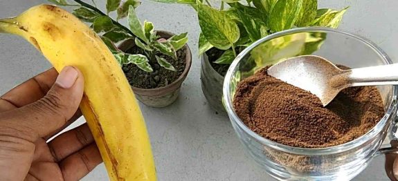 adubo-caseiro-para-plantas-11-10.jpg