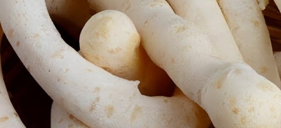 biscoito-de-polvilho-assado-20-10.jpg