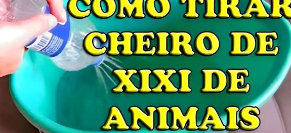 como-tirar-cheiro-de-urina-de-animais-12-10.jpg