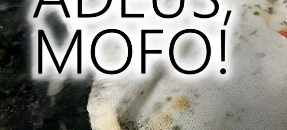 como-tirar-mofo-de-tecidos-18-101.jpg