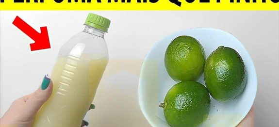 desinfetante-caseiro-com-limao111.jpg