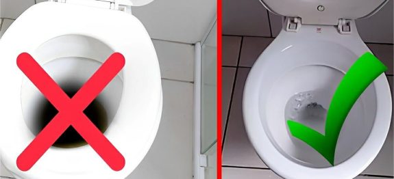 como-remover-encardido-de-vaso-sanitario-03-11.jpg