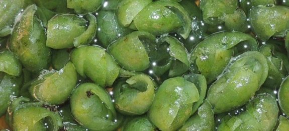 doce-limao-2011.jpg