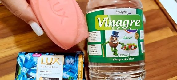 limpador-multiuso-caseiro-28-101.jpg