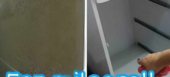 misturinha-para-acabar-com-mofo-dos-moveis-06-111.jpg
