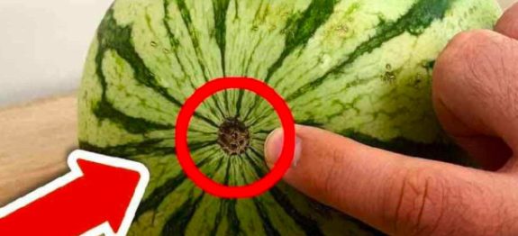 Preste-atencao-nesse-detalhe-da-melancia-pois-ela-ainda-nao-esta-madura-1-610×300-1.jpeg