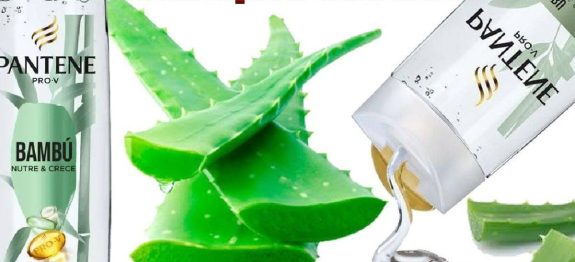 shampoo-caseiro-2501.jpg