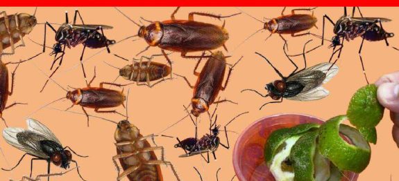 acabar-barata-20021.jpg