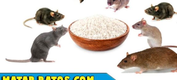acabar-ratos-1302-610×300-1.jpeg