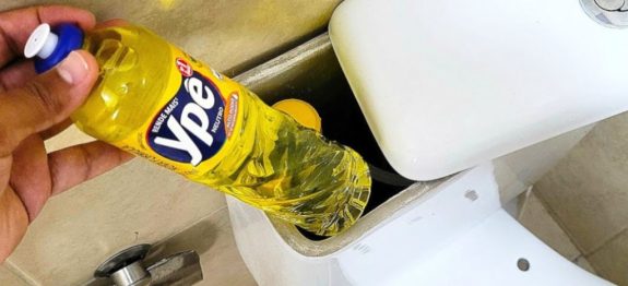 Segredo-de-diarista-Coloque-1-detergente-na-descarga-do-banheiro-e-veja-o-resultado-1.jpg