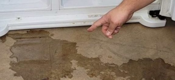 Por-que-sai-agua-da-geladeira-A-razao-e-esta-ninguem-nunca-percebe.jpg